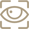 Due diligence icon